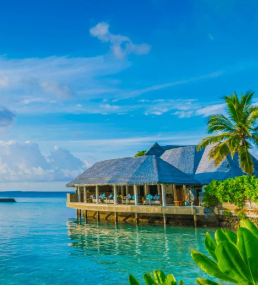 W88 Sunderland Shirt Sponsor 2025